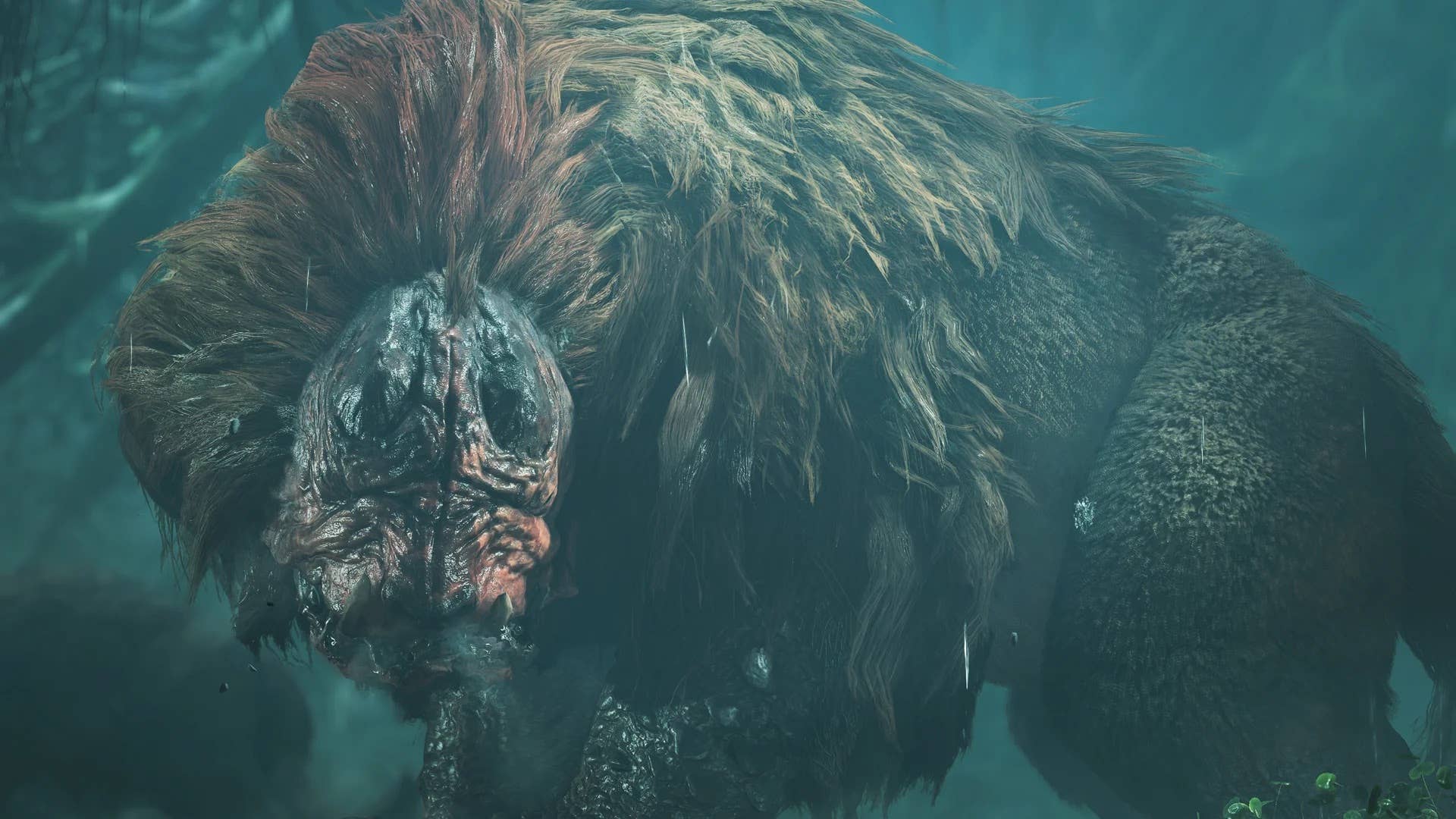 The next set of Monster Hunter...